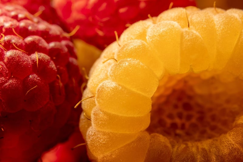Fruity dessert